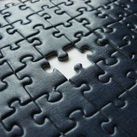 the missing piece